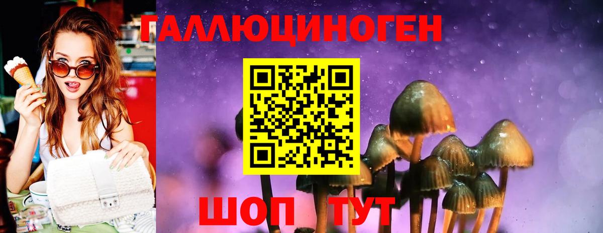 Галлюциногенные грибы ЛСД  Вход с VPN  Гусиноозёрск 