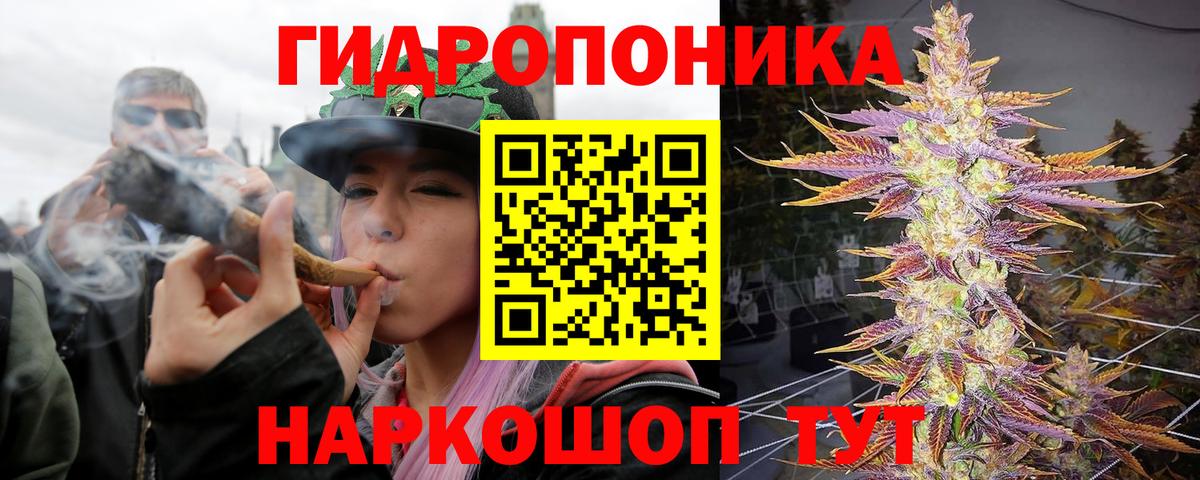 Канабис планчик  Канабис ГИДРОПОН  Бошки марихуана сатива  Вход с VPN  Гусиноозёрск 